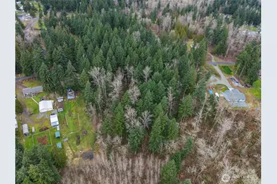 4813 296th St E, Graham, WA 98338 - Photo 8