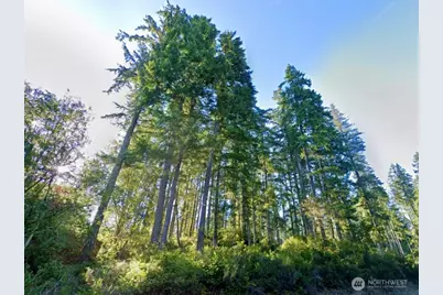 5011 E Rasor Road, Belfair, WA 98528 - Photo 12