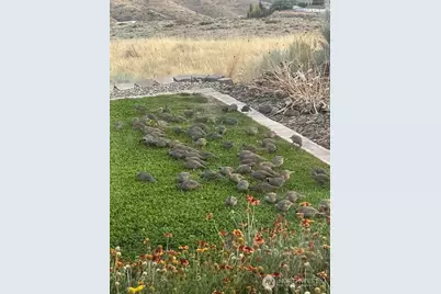 2312 Canyon Hills Drive, East Wenatchee, WA 98802 - Photo 38