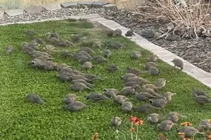 2312 Canyon Hills Dr, East Wenatchee, WA 98802 - Photo 38