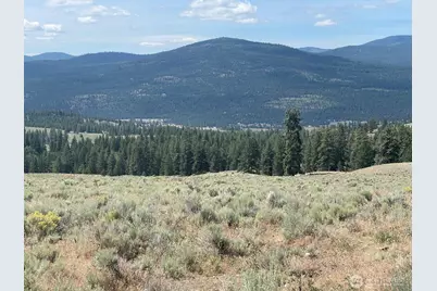 16 Breezy Lane, Tonasket, WA 98855 - Photo 8