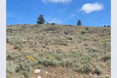 16 Breezy Lane, Tonasket, WA 98855 - Photo 14