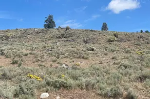 16 Breezy Ln, Tonasket, WA 98855 - Photo 14