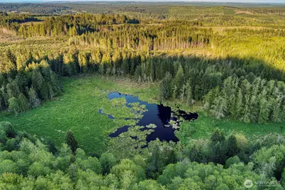 0 Elkhorn Lane, Quilcene, WA 98376 - Photo 4