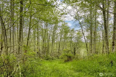 0 Elkhorn Lane, Quilcene, WA 98376 - Photo 14