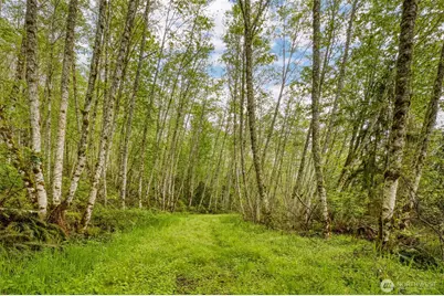 0 Elkhorn Lane, Quilcene, WA 98376 - Photo 12