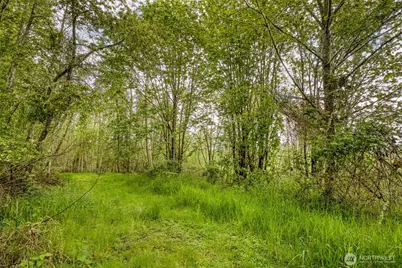 0 Elkhorn Lane, Quilcene, WA 98376 - Photo 10