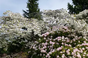 7407 180th St SW, Edmonds, WA 98026 - Photo 36