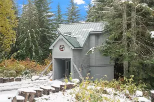 180 Chamonix Pl, Snoqualmie Pass, WA 98068 - Photo 1
