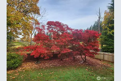 5984 Longdin Road, Ferndale, WA 98248 - Photo 32