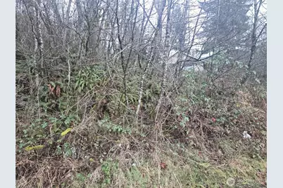 0 N 2nd St, Morton, WA 98572 - Photo 16