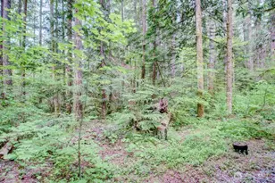 20 Goldrush Rd, Deming, WA 98244 - Photo 26