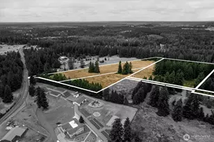 16228 Bald Hills Road SE, Yelm, WA 98597 - Photo 1