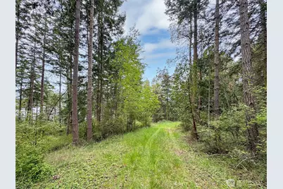 136 Discovery Crest Pl, Port Townsend, WA 98368 - Photo 8