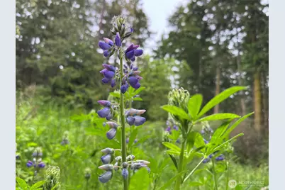 136 Discovery Crest Pl, Port Townsend, WA 98368 - Photo 24