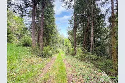 136 Discovery Crest Pl, Port Townsend, WA 98368 - Photo 6