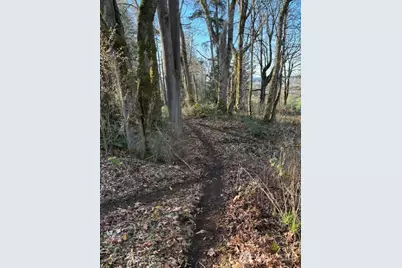 10411 238th Street E, Graham, WA 98338 - Photo 24