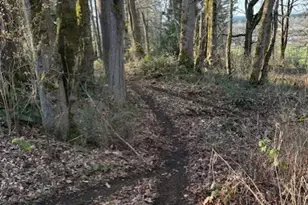 10411 238th St E, Graham, WA 98338 - Photo 24