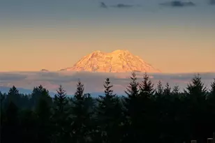 527 Tennessee Rd, Winlock, WA 98596 - Photo 40