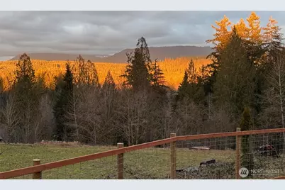 31822 NE 147th Place, Duvall, WA 98019 - Photo 36