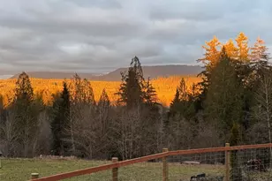 31822 NE 147th Pl, Duvall, WA 98019 - Photo 36