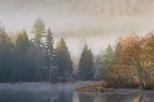 798 W Rd, Sedro Woolley, WA 98284 - Photo 30