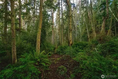 4145 Glendale Road, Clinton, WA 98236 - Photo 36