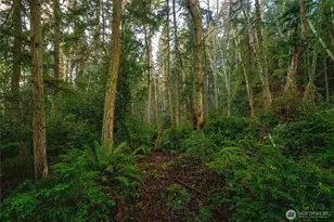 4145 Glendale Rd, Clinton, WA 98236 - Photo 36