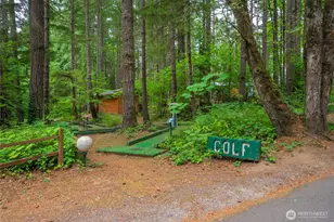 1546 Reservation Road SE, Olympia, WA 98513 - Photo 36