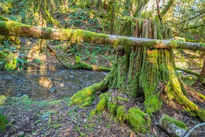 450 Mt Jupiter Pl, Hoodsport, WA 98548 - Photo 8