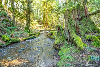 450 Mt Jupiter Pl, Hoodsport, WA 98548 - Photo 6