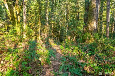 450 Mt Jupiter Pl, Hoodsport, WA 98548 - Photo 4