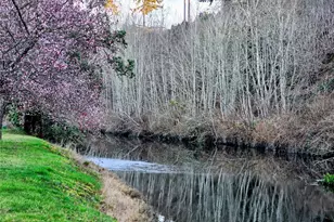 1518 Carol St, Camano Island, WA 98282 - Photo 38