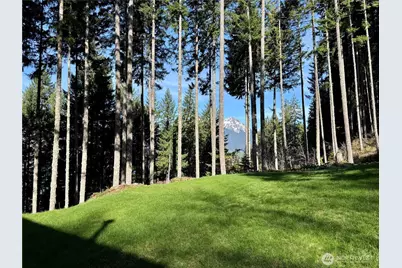 70 N Rim View Place, Hoodsport, WA 98548 - Photo 2