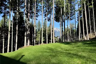 70 N Rim View Pl, Hoodsport, WA 98548 - Photo 2