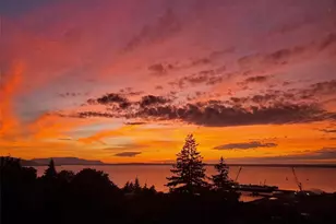 715 N Garden St, Bellingham, WA 98225 - Photo 1