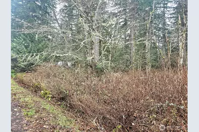 4 Nka W Go Onna Drive, Quilcene, WA 98376 - Photo 4