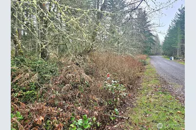 3 Nka W Go Onna Drive, Quilcene, WA 98376 - Photo 8
