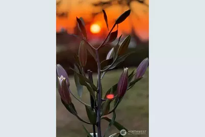 2270 S 7th Avenue, Sequim, WA 98382 - Photo 36