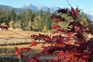 2270 S 7th Ave, Sequim, WA 98382 - Photo 38