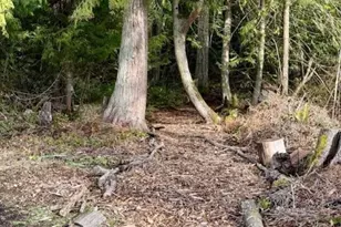 2270 S 7th Ave, Sequim, WA 98382 - Photo 36