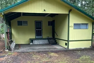 431 N Mt Seattle Way, Hoodsport, WA 98548 - Photo 1