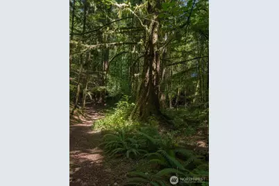 43 Lynnwood Lane, Hoquiam, WA 98550 - Photo 40