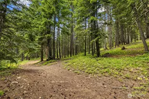 16341 Salmon La Sac Rd, Ronald, WA 98940 - Photo 34