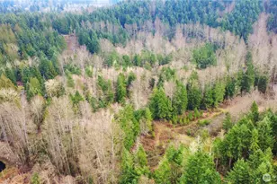 13737 273rd Ave E, Buckley, WA 98321 - Photo 12