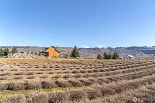 980 S Webb Pl, East Wenatchee, WA 98802 - Photo 6