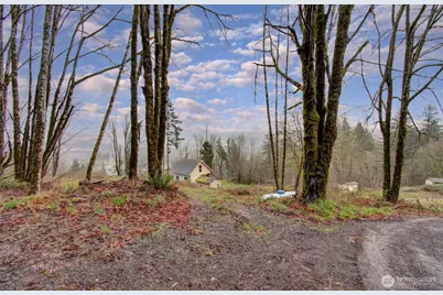 498 Bryant Hill Road, Woodland, WA 98674 - Photo 32