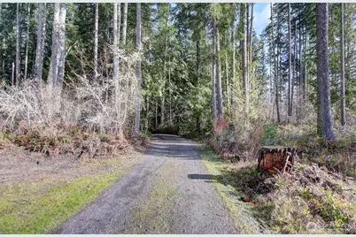 500 S Toutle Road, Toutle, WA 98649 - Photo 38