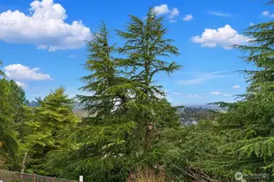 6908 31st Ave SW, Seattle, WA 98126 - Photo 32