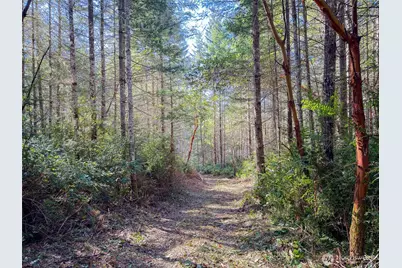 222 X Octopus Court, Quilcene, WA 98376 - Photo 16